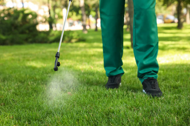 Best Pest Removal Services  in Checotah, OK