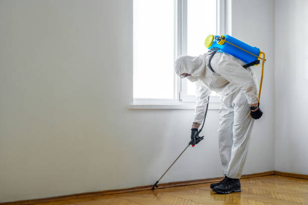 Best Best Pest Control Companies  in Checotah, OK
