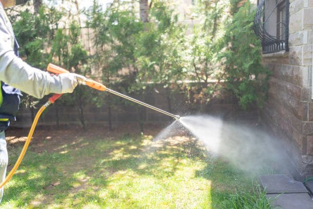 Best Flea Control Services  in Checotah, OK