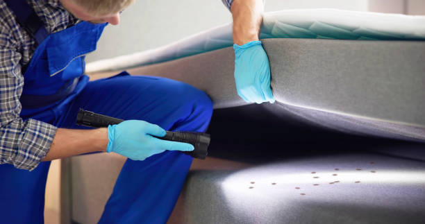 Best Wasp Removal Services  in Checotah, OK