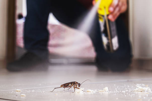 Best Rat Extermination Near Me  in Checotah, OK