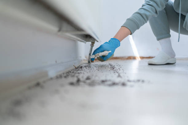 Best Affordable Pest Control Services  in Checotah, OK