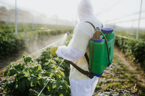 Best Exterminator Services  in Checotah, OK